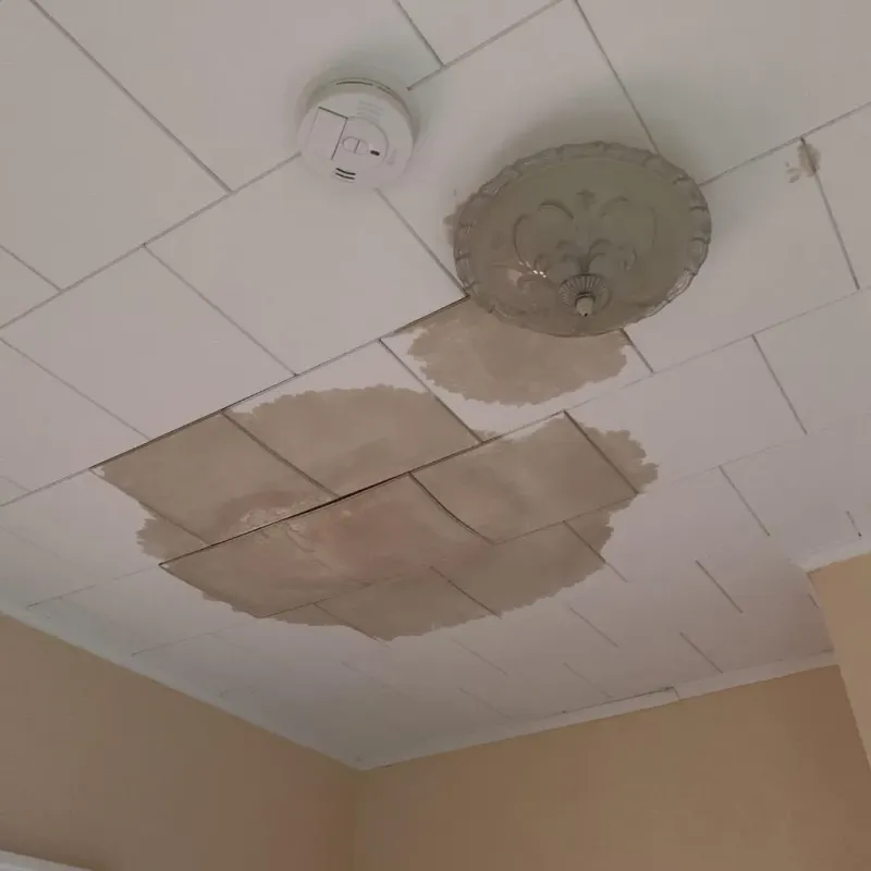Ceiling Water Damage Repair in Leetsdale, PA