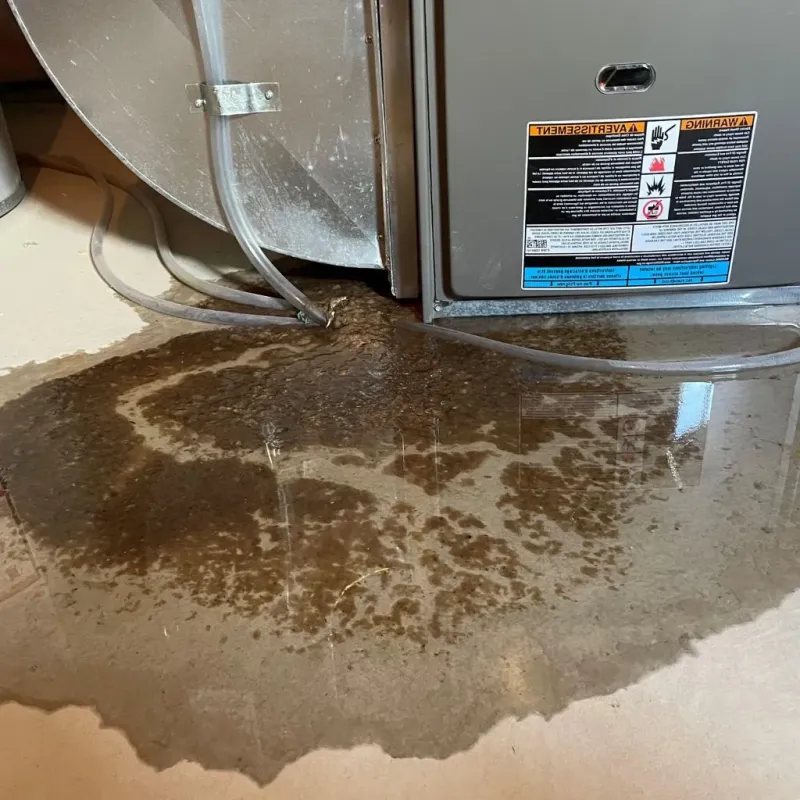 Pipe Burst and Leak Restoration in Leetsdale, PA